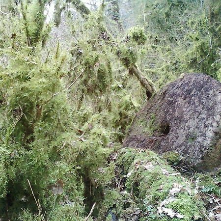 Gite De Charme Auvergne Cab'Ane Brousse Exterior foto