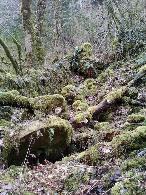 Gite De Charme Auvergne Cab'Ane Brousse Exterior foto